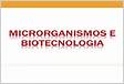 Os processos biotecnológicos desempenham um papel